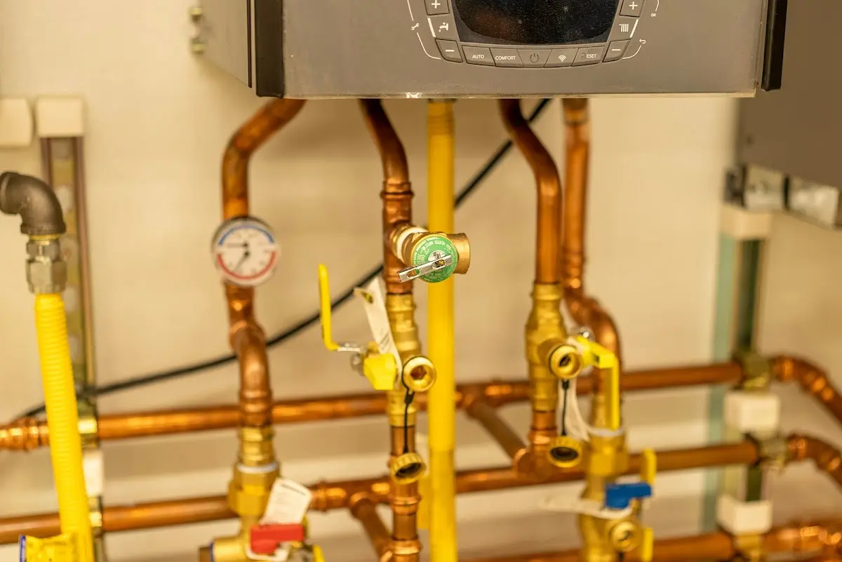 Licensed technician providing Sewer Cleanout for a homeowner in Suitland